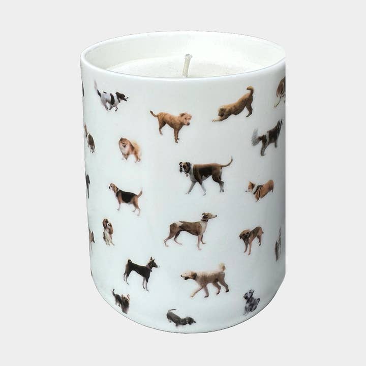 POWDERHOUND CANDLE DOG CHAIN for wholesale by Powderhound