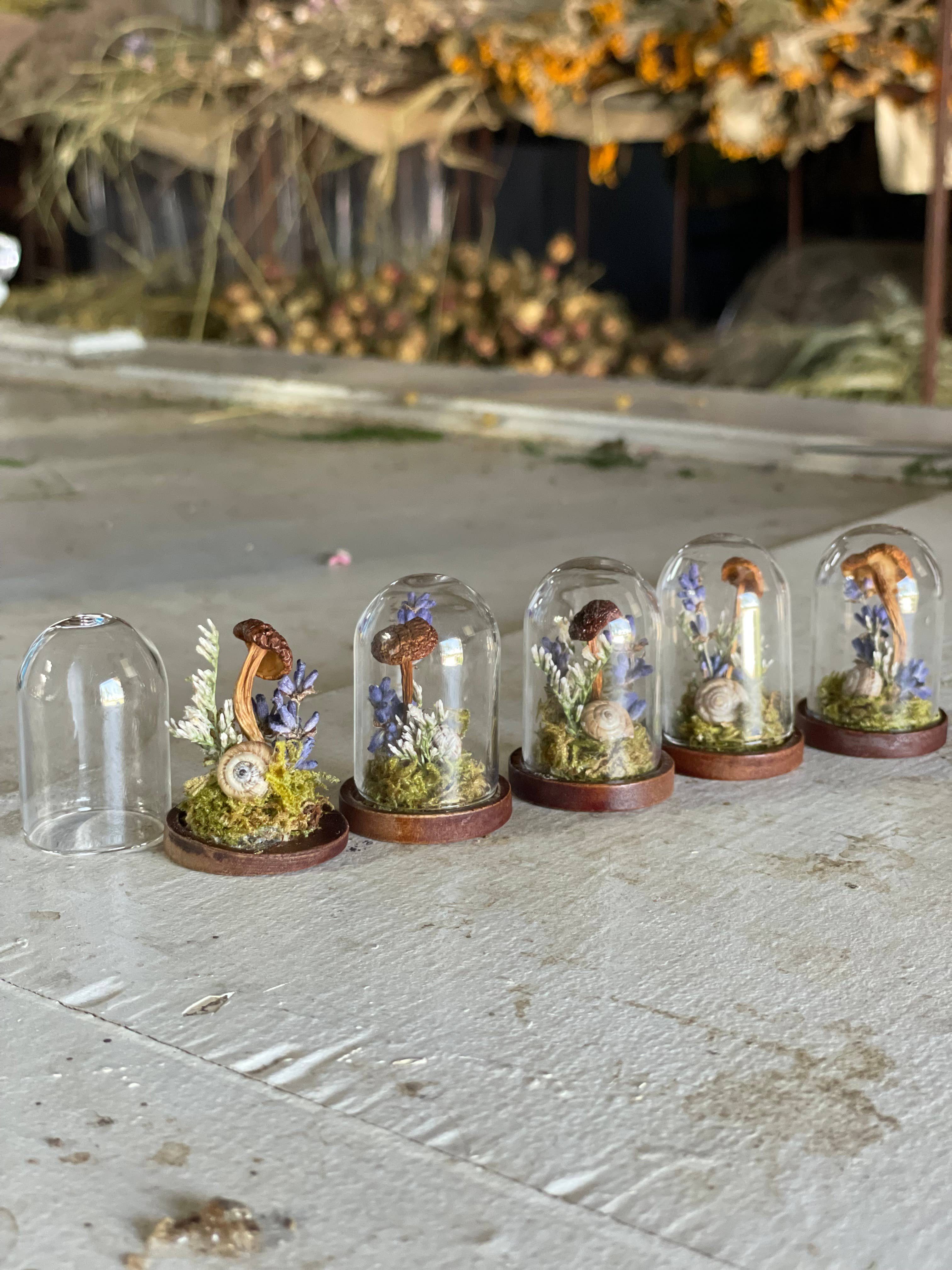 Right Side Hand - Wholesale Terrarium - Miniature Lavender, Mushroom, and Snail Terrarium2
