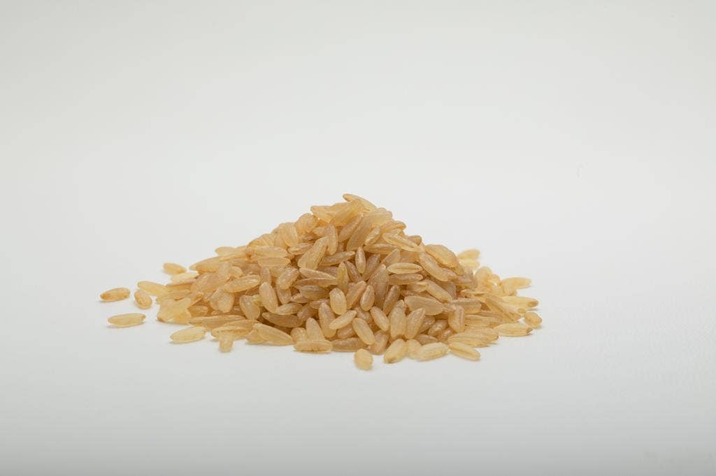 CANAVERE - Wholesale Rice - PARBOILED IGP LONG CAMARGUE RICE - 1 KG2