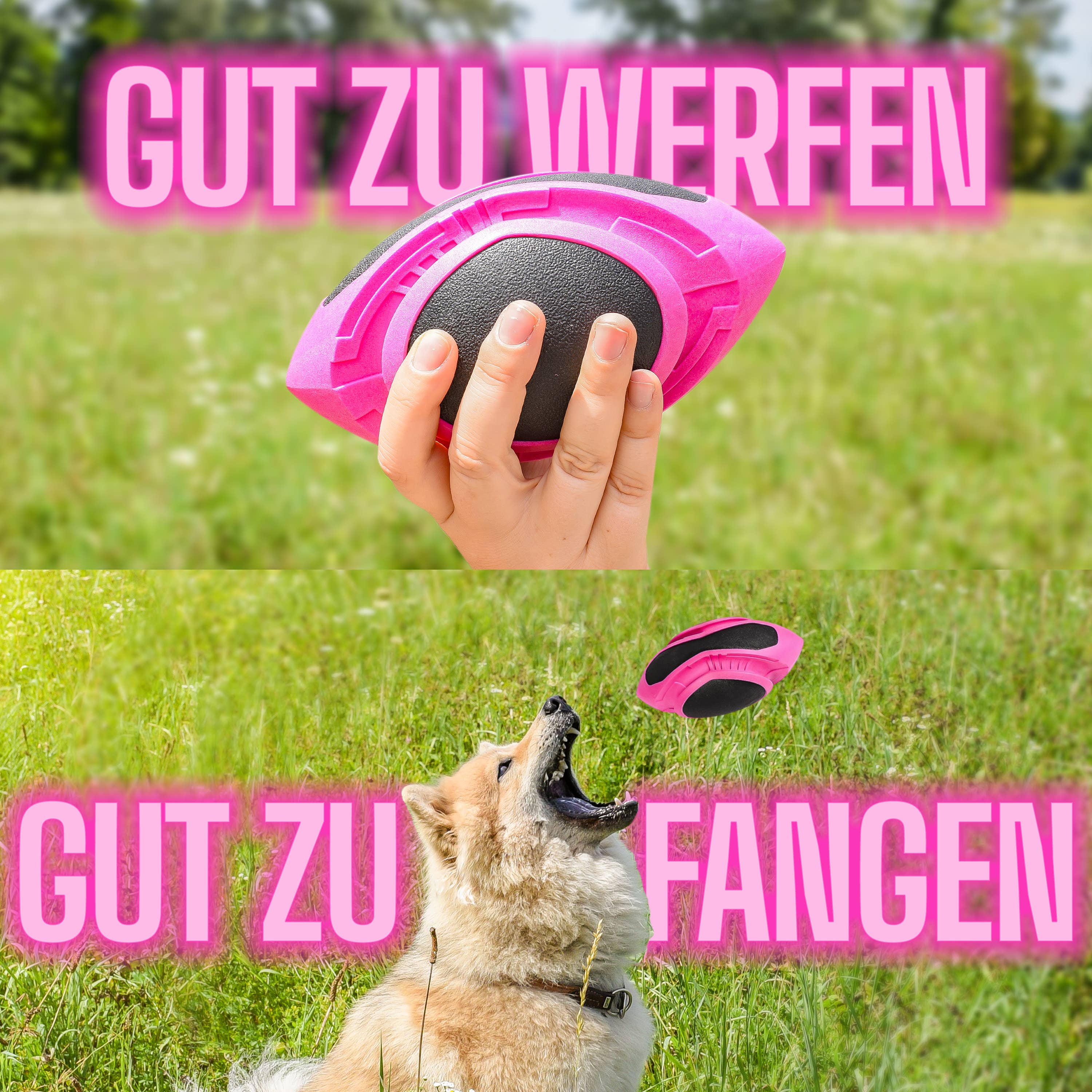 ne&no - Wholesale Pet Fetch Ball - Dog - ne&no® Dog Football – floats – neon pink – Fetch7