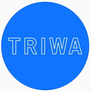 Kickstarter triwa on sale