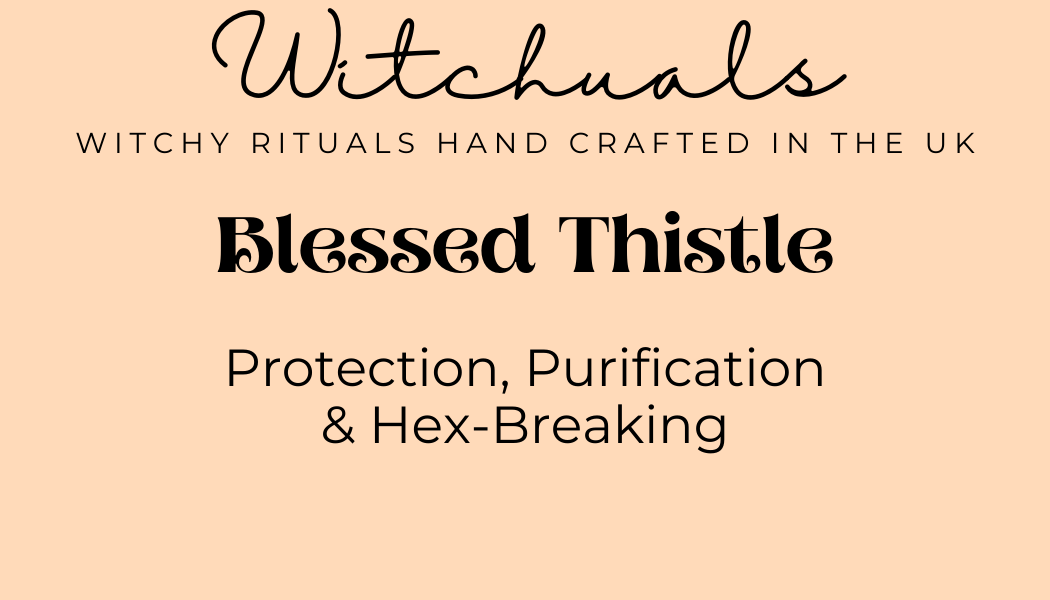 Witchuals - Rituals & Spellwork Apothecary – Material de meditação por atacado – Cardo Abençoado2
