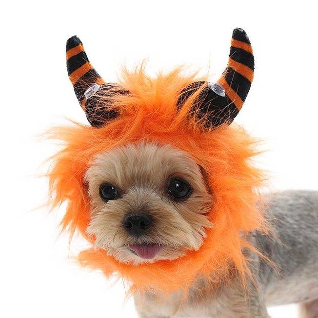Furry Monster Hat Orange for wholesale by Dogo Pet