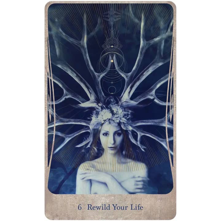 U.S. Games Systems Inc. - Wholesale Tarot Cards - Divine Nature Oracle Deck & Book Set