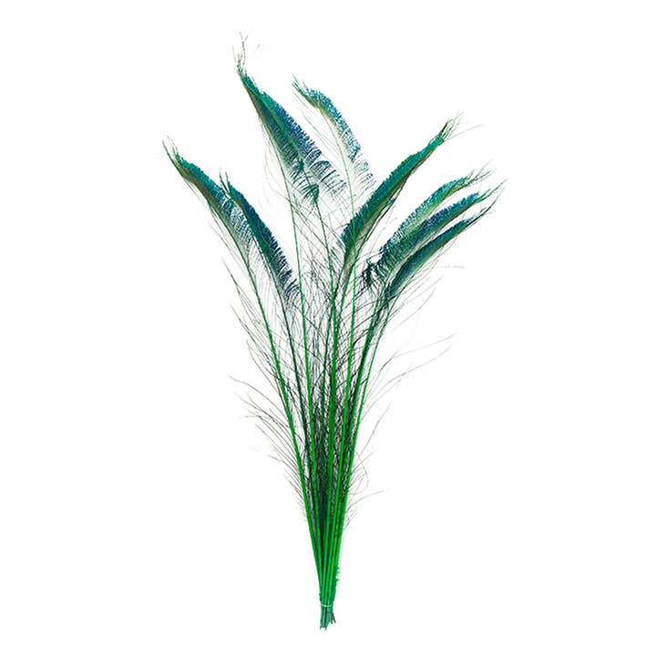 Peacock Swords Stem Dyed - Kelly for wholesale by Zucker Feather Products