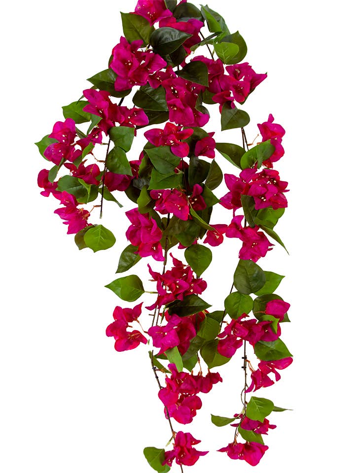 41" BOUGAINVILLEA VINE for wholesale by American Best