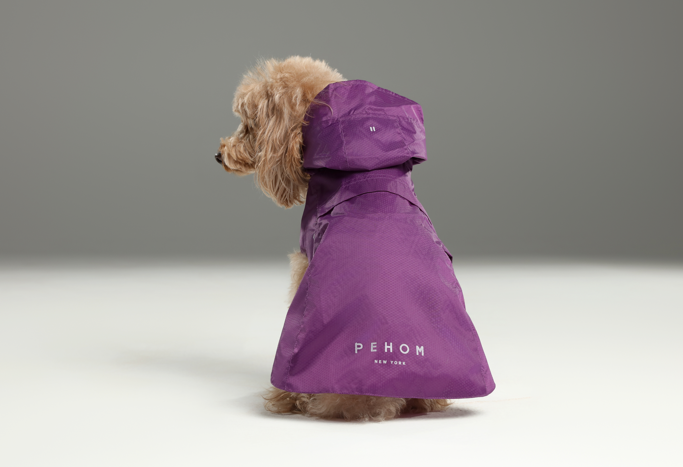 PEHOM - Venta al por mayor Chubasquero - Perros - Impermeable tipo cápsula - Morado2