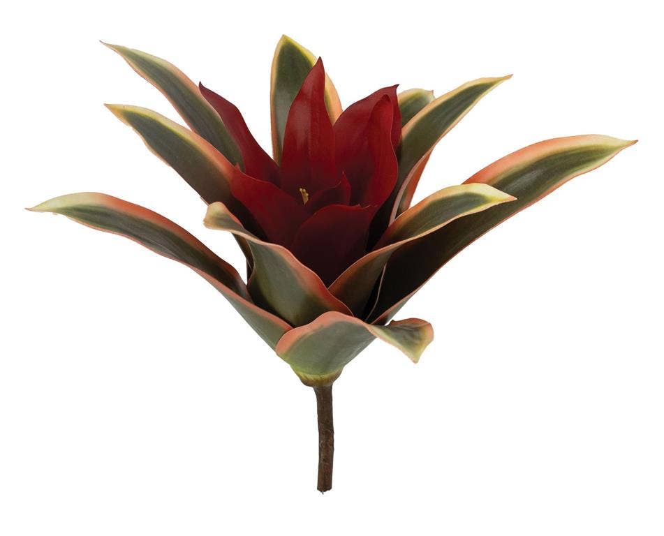 Select Artificials, Inc. - Wholesale Live Plant - Bromeliad Plant 7.5" Burgundy0