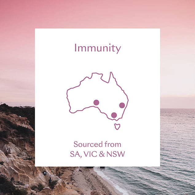 South of Somewhere - Wholesale Essential oil - Immunity Essential Oil 10ml3