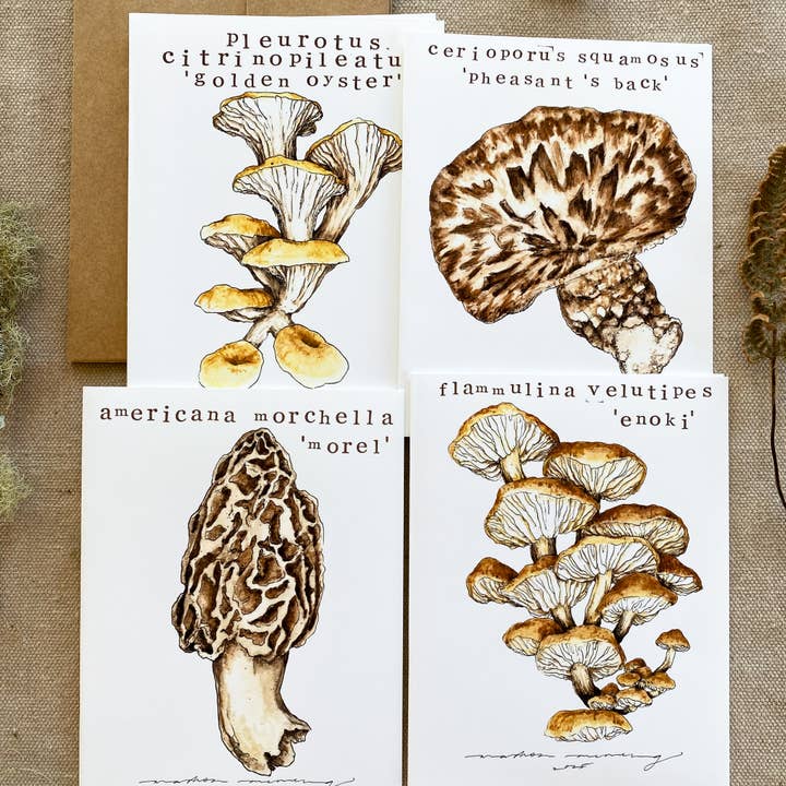 Pack de cartes de vœux 'Champignons de printemps' (4 pièces) pour la vente par Madison Memering (mamemering)