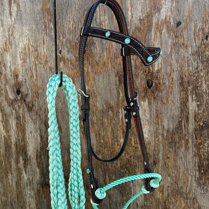 Black V-Brow Turquoise Loping Hackamore #LHK104 for wholesale by Rodeo Drive