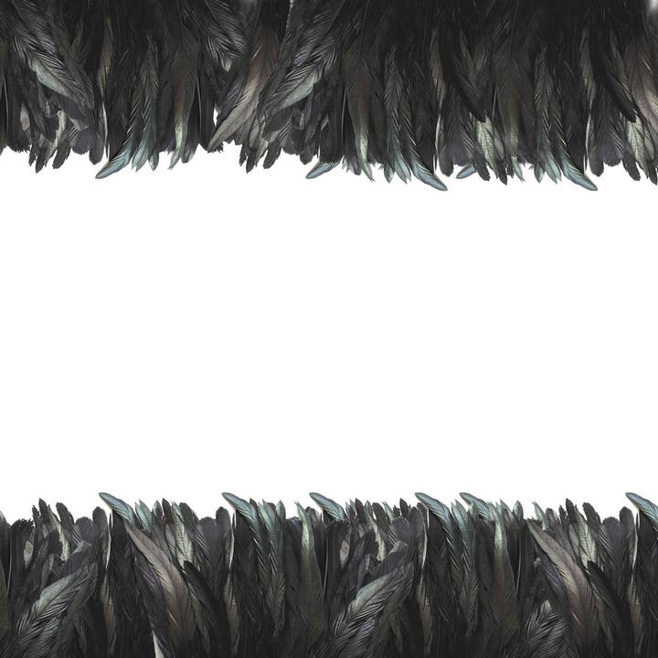 Raven - Placemat for wholesale by Altoonastore