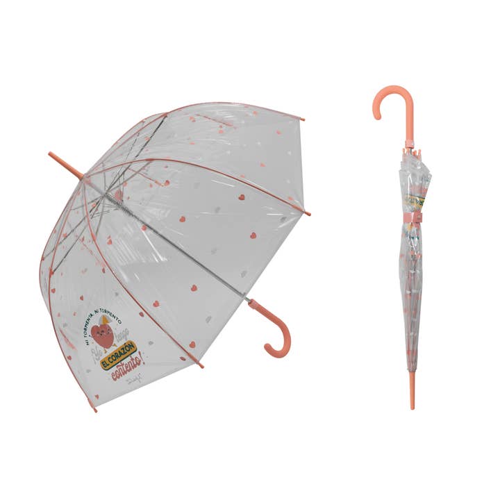 Mkr International - Wholesale Umbrella - Women's - Automatic Transparent Umbrella with Phrases. Mr.Wonderful2