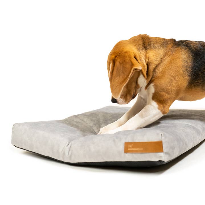 Rexproduct Sp. z o.o. Sp. k. – Engroshandel Seng - Hund – Hundeseng Rexproduct Blød, økologisk pude, farver11