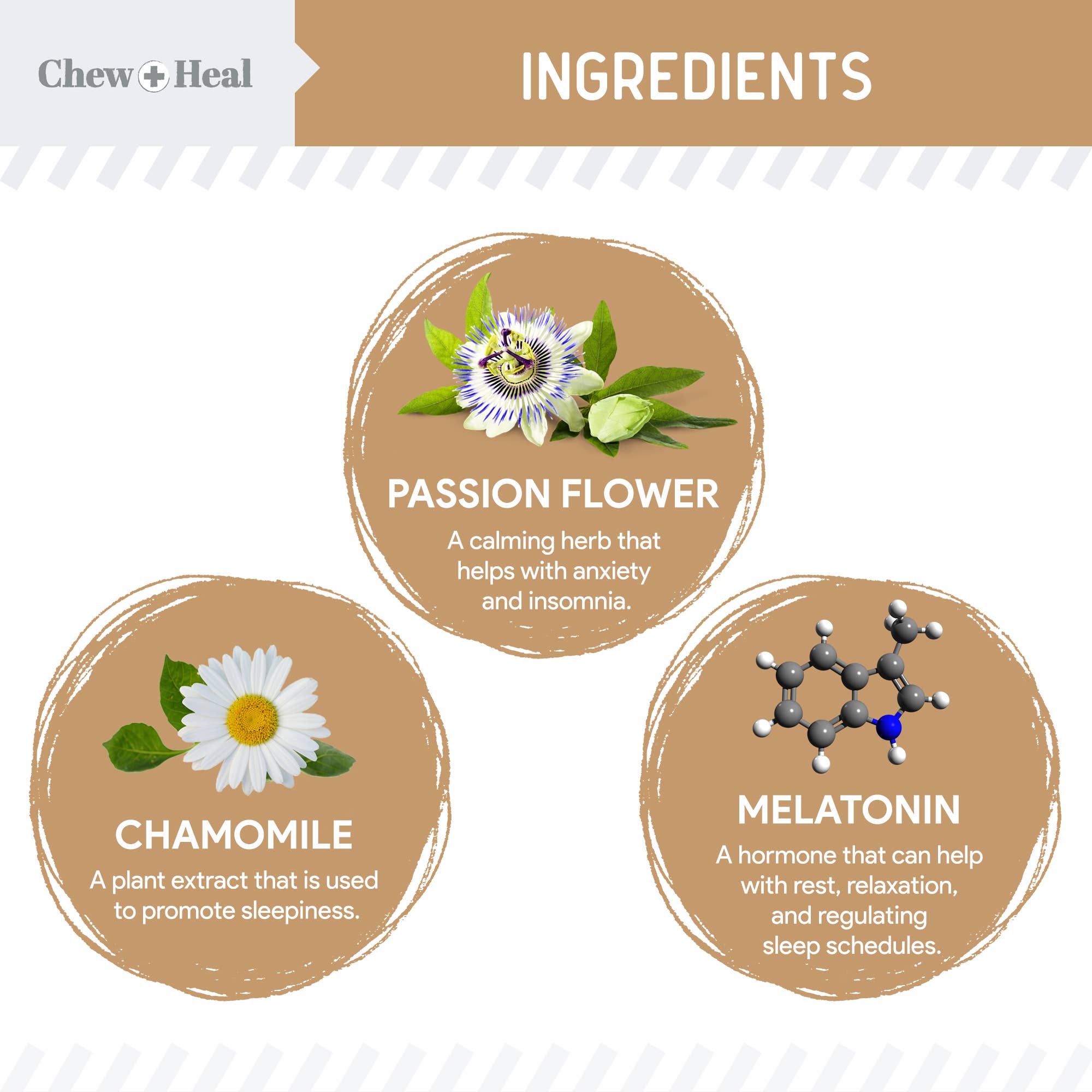 Chew + Heal – Großhandel Nahrungsergänzungsmittel für Haustiere – Hund – Anxiety + Stress Dog Erdnussbutter mit Geschmack, 60 Stück1