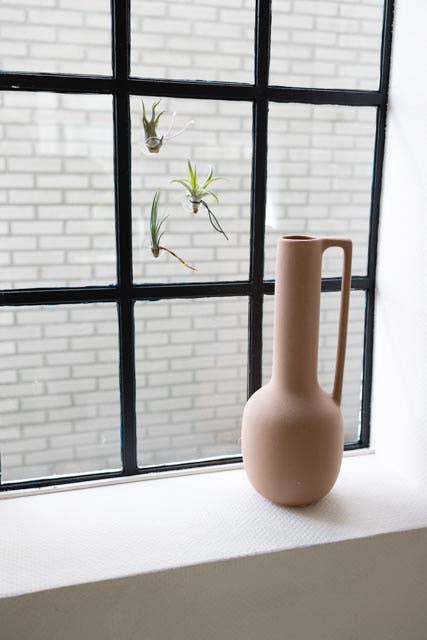 Juffrouw Pannenkoek deco /JP deco - Wholesale Live Plant - Plant Friends – set of 9 air plants with suction cup2