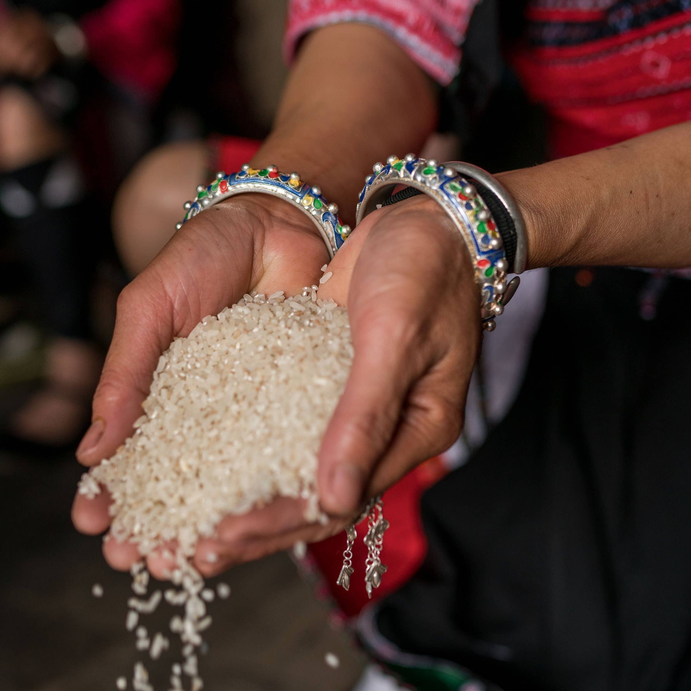 Viori Beauty - Venta al por mayor Gel de ducha/baño - Jabón en barra Hidden Waterfall™ con aroma a almizcle dulce *Extra4