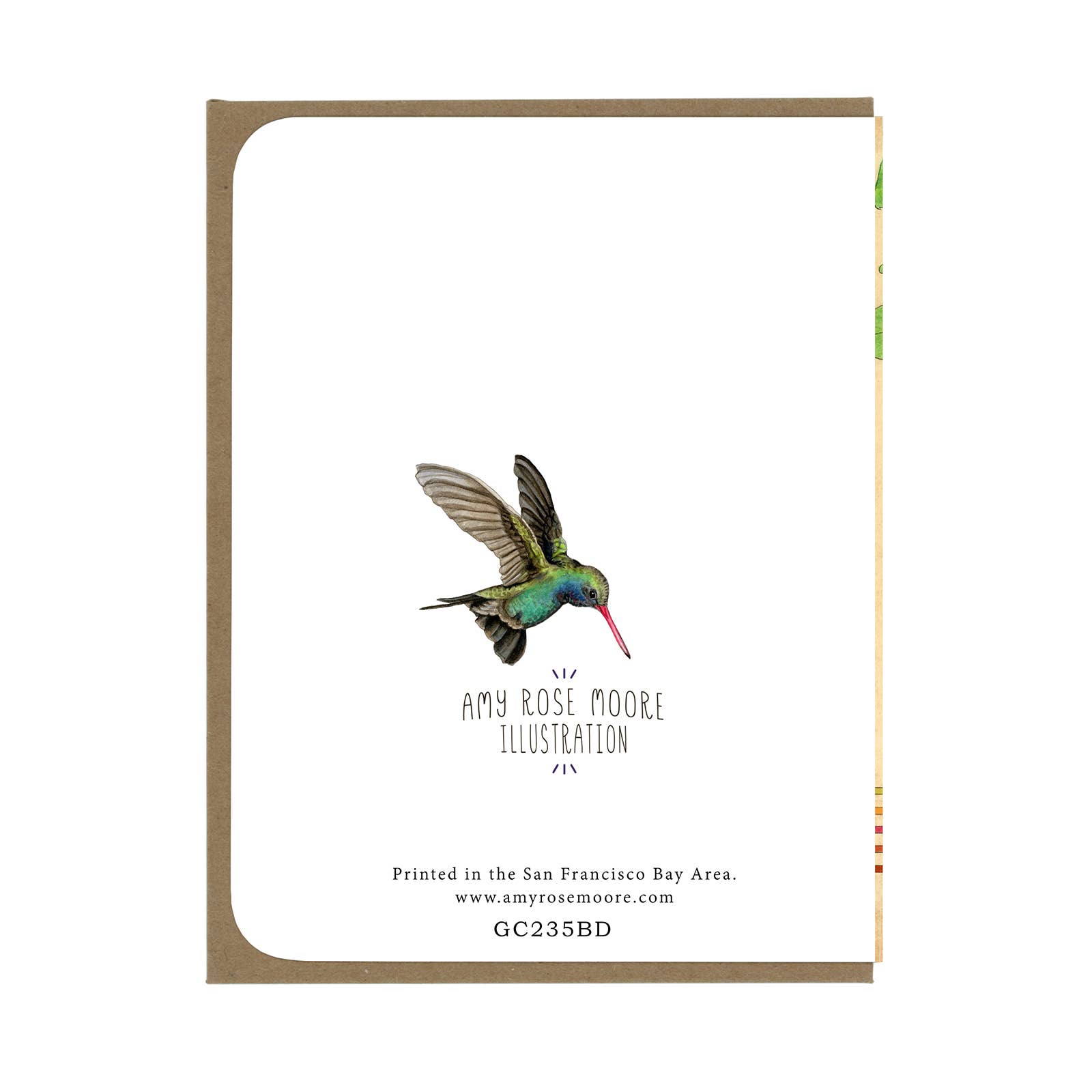 Amy Rose Moore Illustration - Vendita all'ingrosso Biglietti di auguri - BIRTHDAY Rufous Hummingbird - Biglietto di auguri1