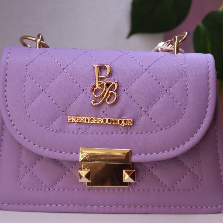Small and Chic Prestige Boutique Handbag for wholesale by Prestige Boutique