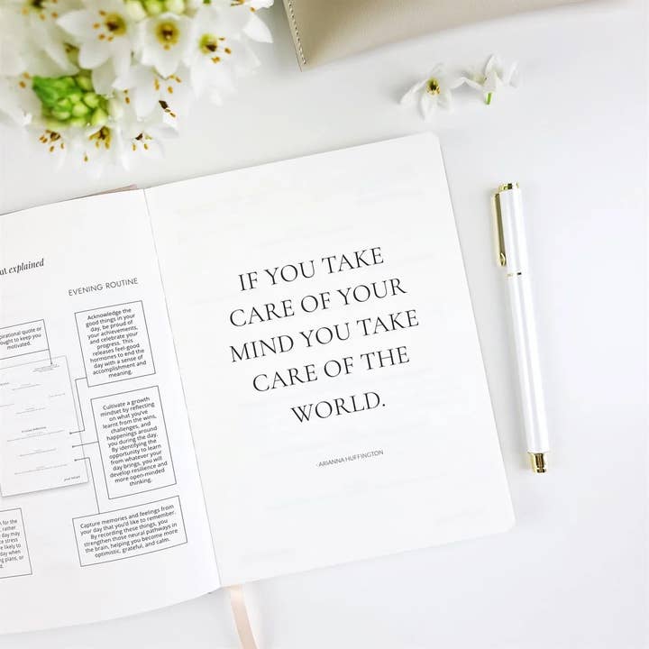 LH Agenda - Wholesale Journal/diary - Good Morning Good Night - Mocha - Daily Practice Journal9