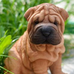 Pet Pals: Sitting Shar Pei Puppy Statue for wholesale by Hi-Line Gift Ltd.