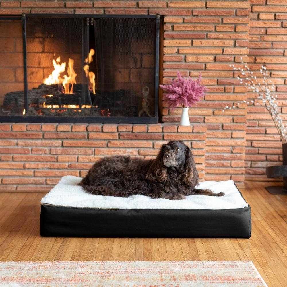 Snoozer Pet Products - Vendita all'ingrosso Letto - Cani - Letto ortopedico lounge super per cani con sherpa crema9
