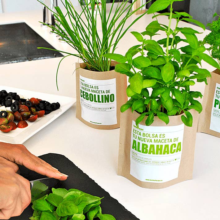 Garden Pocket - Vendita all'ingrosso Semi di piante - UD - STEVIA.