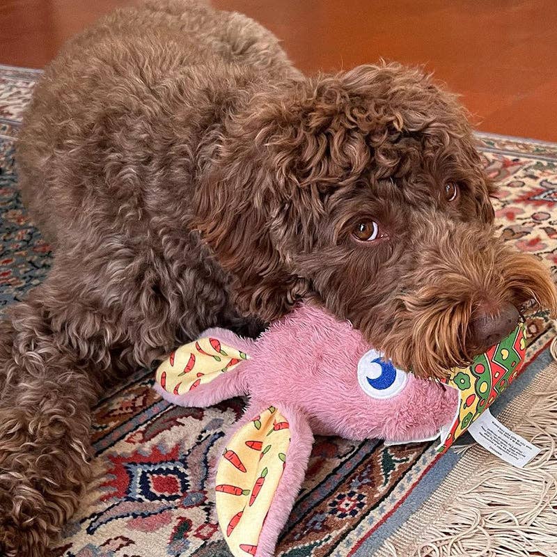 WufWuf – wholesale Pet plush toy – Dog – WufWuf Rabbit In The Egg Shell Interactive Plush Dog Toy4