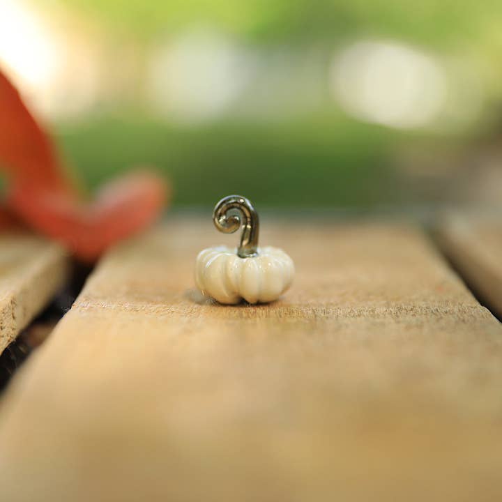 Pantless Potter - Wholesale Decorative Tabletop Object - Tiny pumpkins
