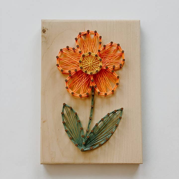 Knot Really Art - Wholesale DIY Craft Kit - Daisy DIY String Art Kit