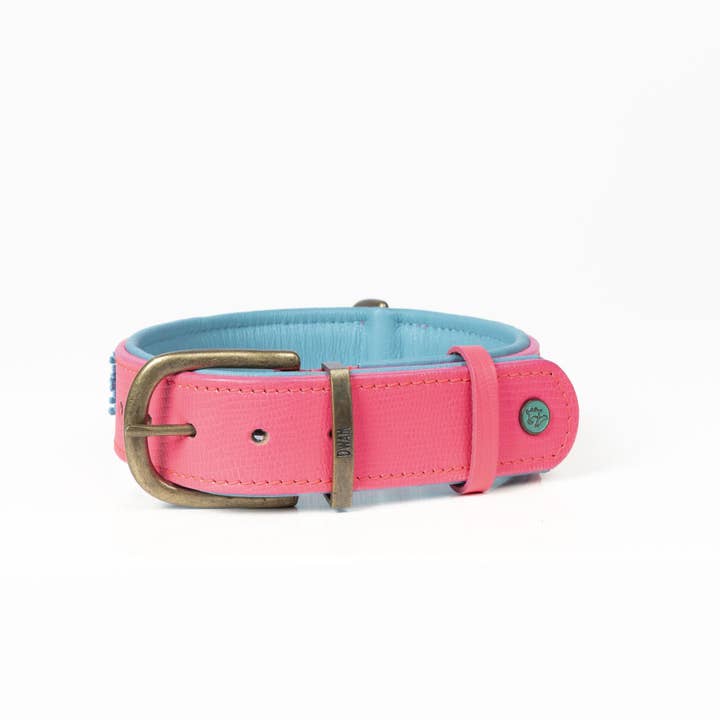 Dog with a Mission - Wholesale Pet Collar - Dog - Indian Summer Necklace6