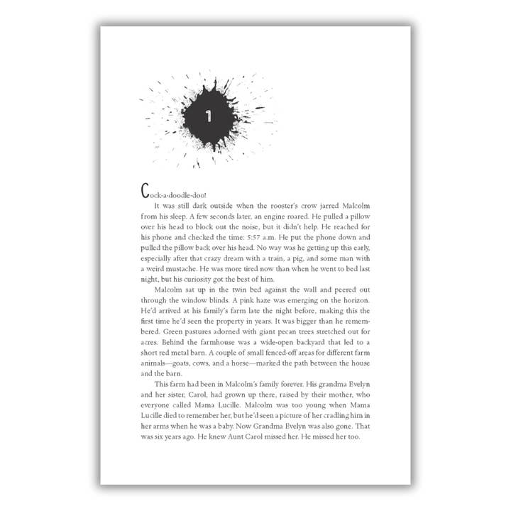 Lee & Low Books Inc - Wholesale Teen & Young Adult Book - Black Was the Ink by Michelle Coles3