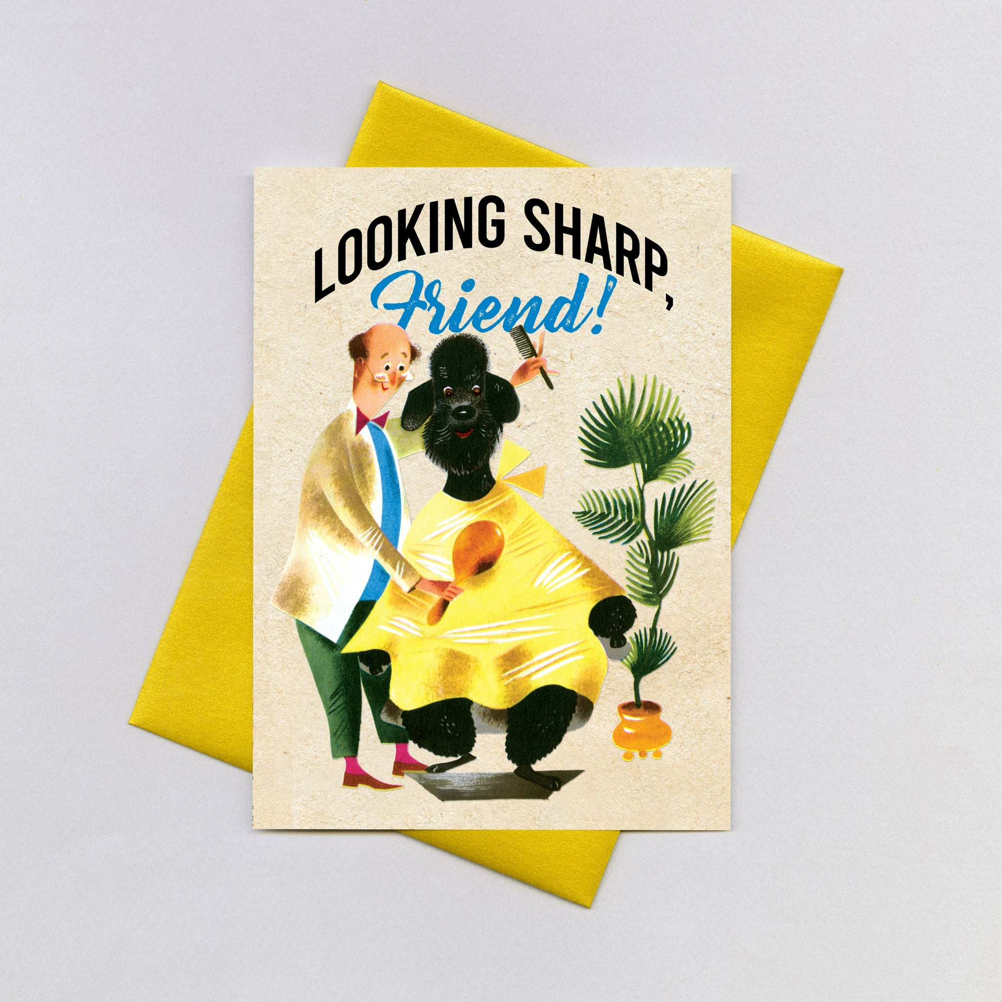Laughing Elephant - Wholesale Thinking of You Card - Poodle & Barber - Thinking of You Card0