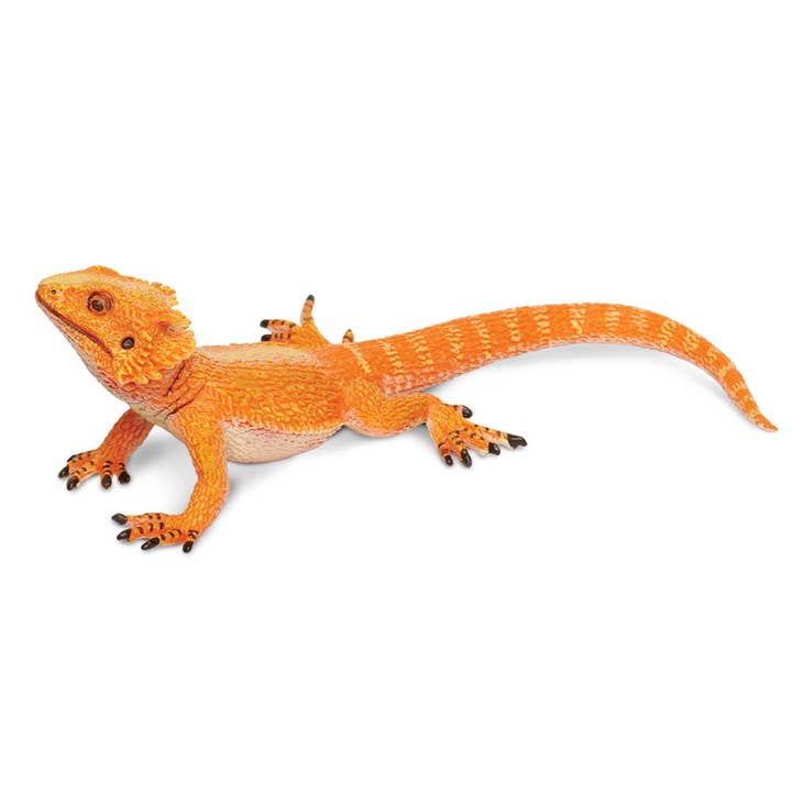 Safari Ltd. - Wholesale Decorative Figurine - Bearded Dragon Decorative Figurine2