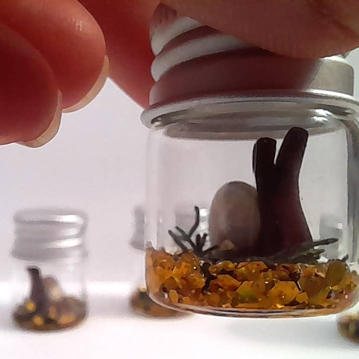 SUPERAWWWSOME - Wholesale Gag Gift/Novelty Gift - Snail Specimen Bottle, Dollhouse Miniature, nature gift jar8