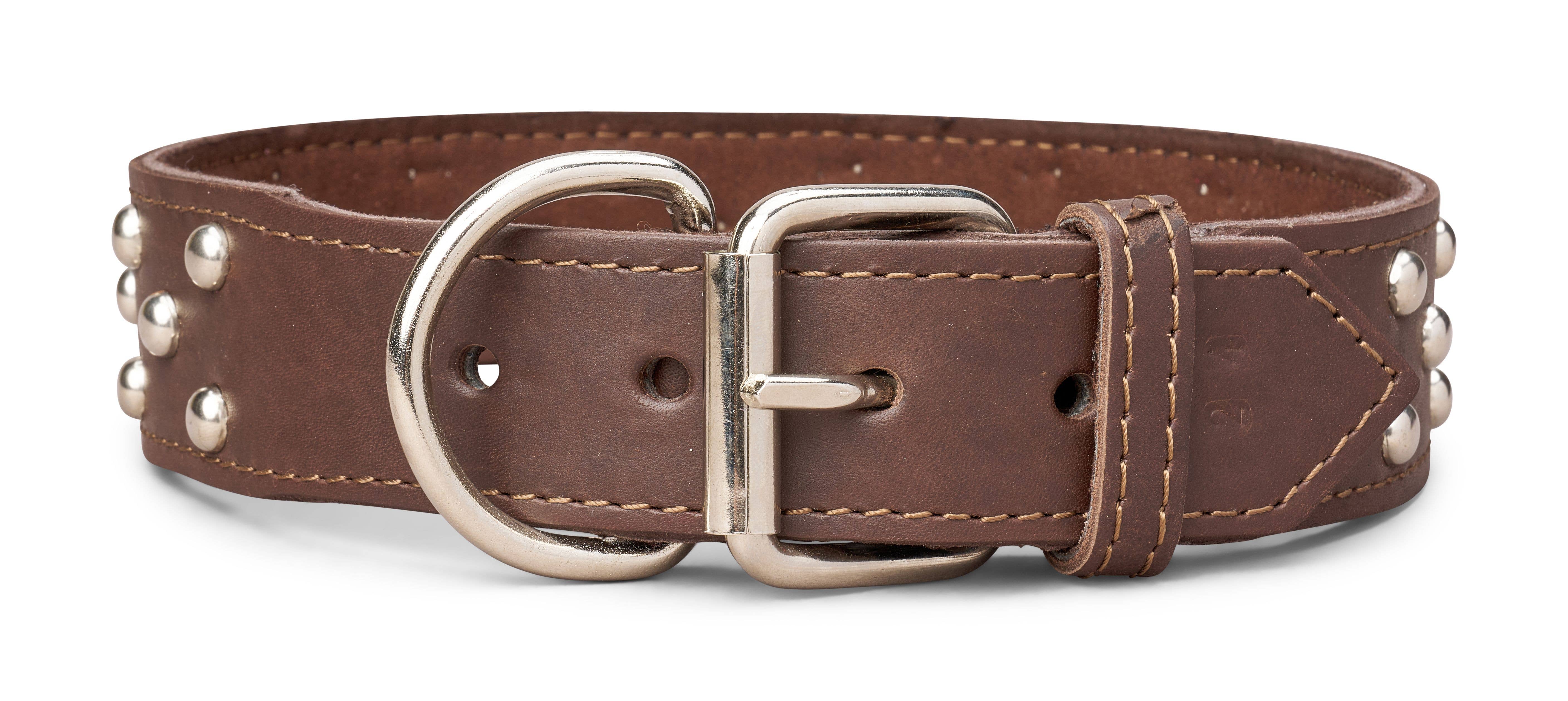 TOP DOG BRAND INC – Großhandel Haustierhalsband – Hund – 1 3/4 Zoll breite Lederhalsbänder mit Nieten13