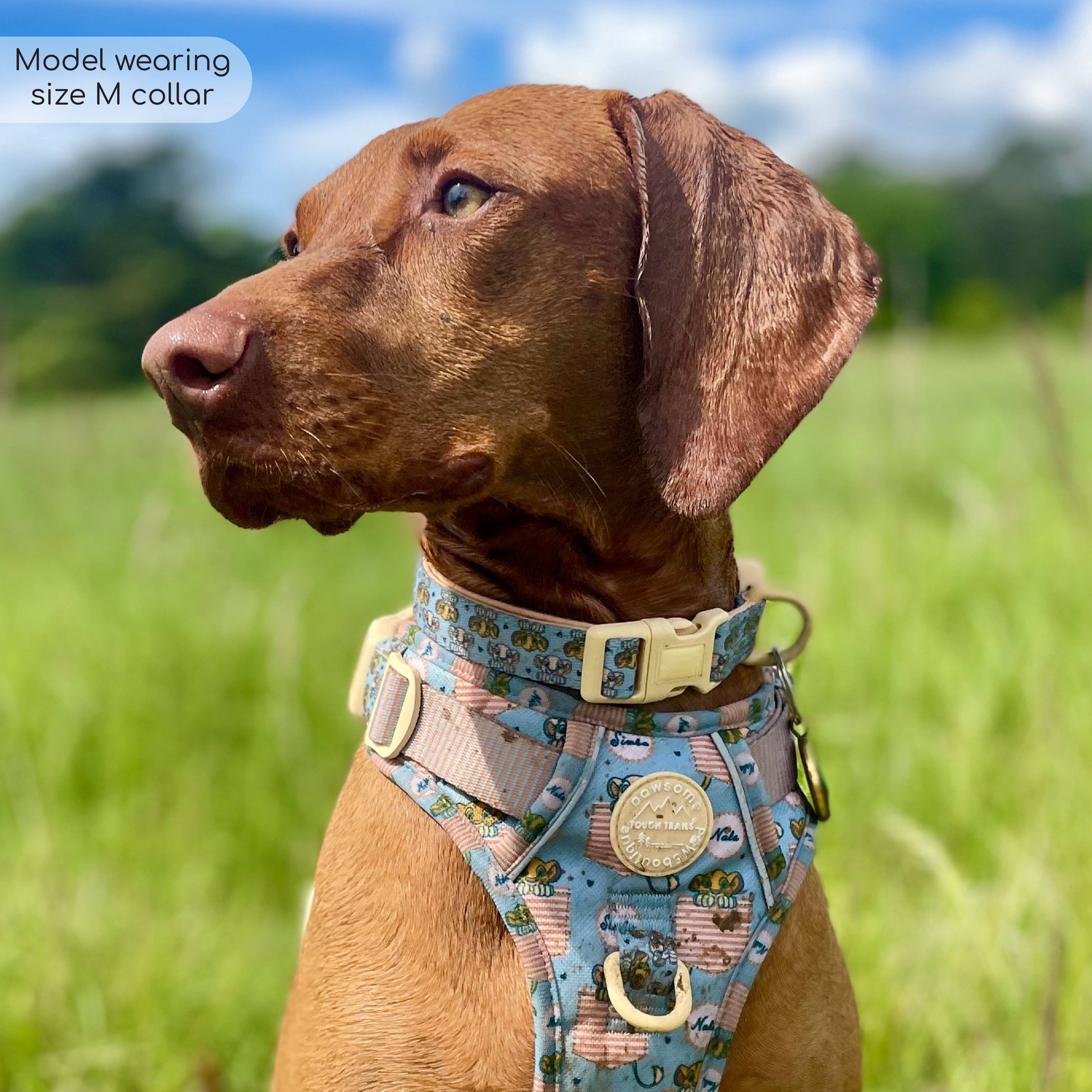 Pawsome Paws - Vendita all'ingrosso Collare - Cani - Collare Disney© - Amici del leone9