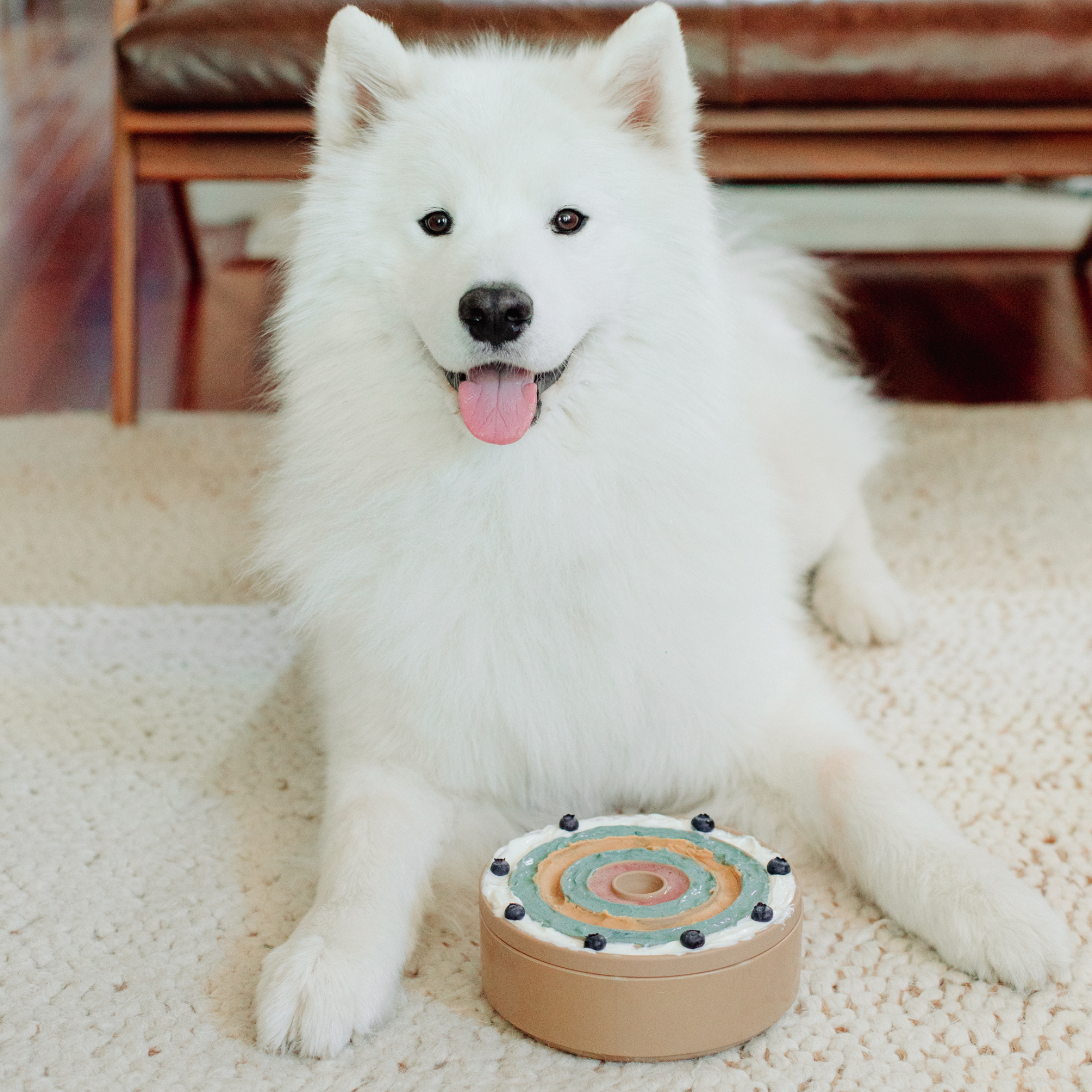 Lambwolf Collective - Vendita all'ingrosso Tappetino sottociotola per animali - Cane - BENTO 3 IN 15