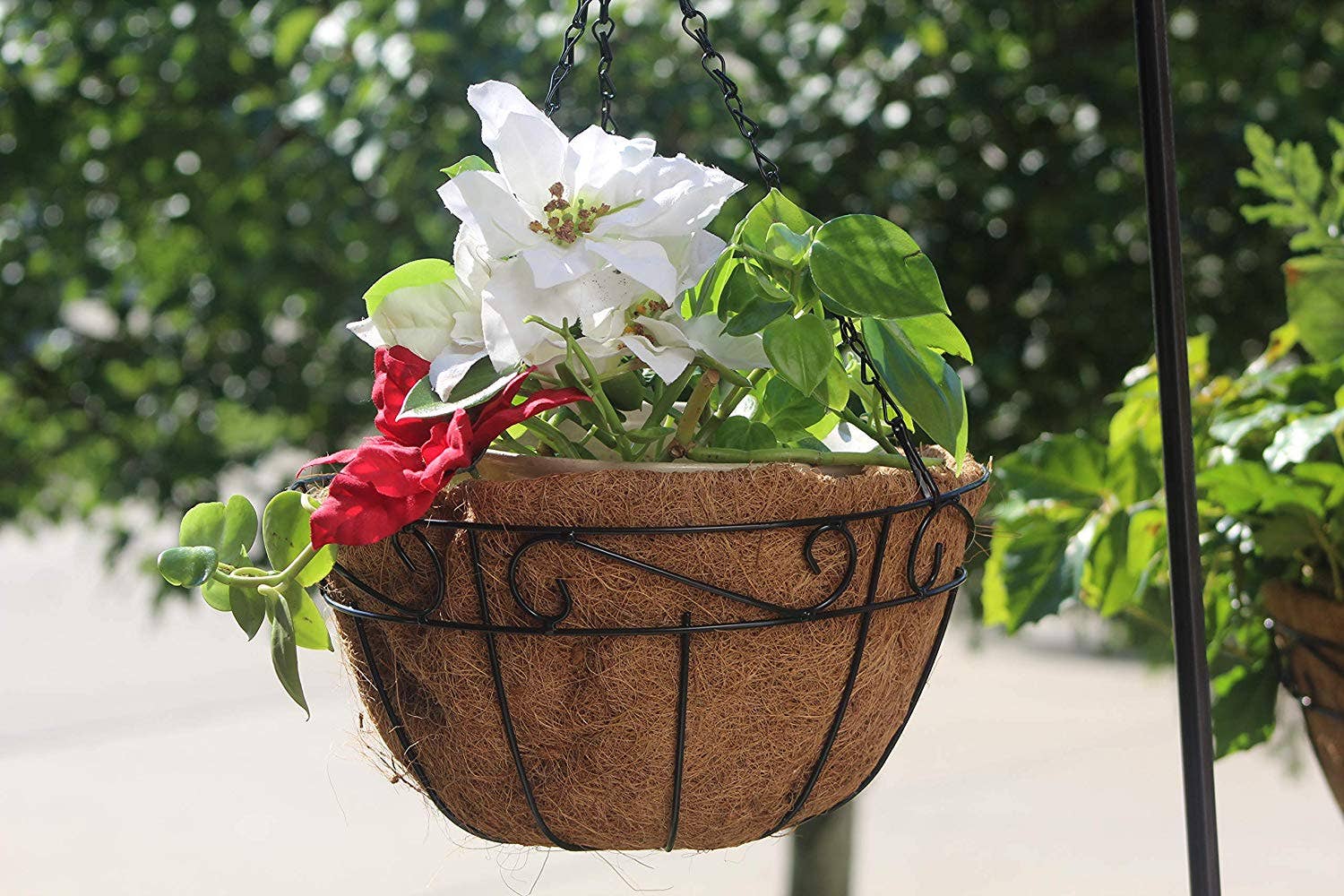 Ashman Online - Wholesale Hanging Planter - Ashman Metal Hanging Planter Basket with Coco Coir Liner 12"6