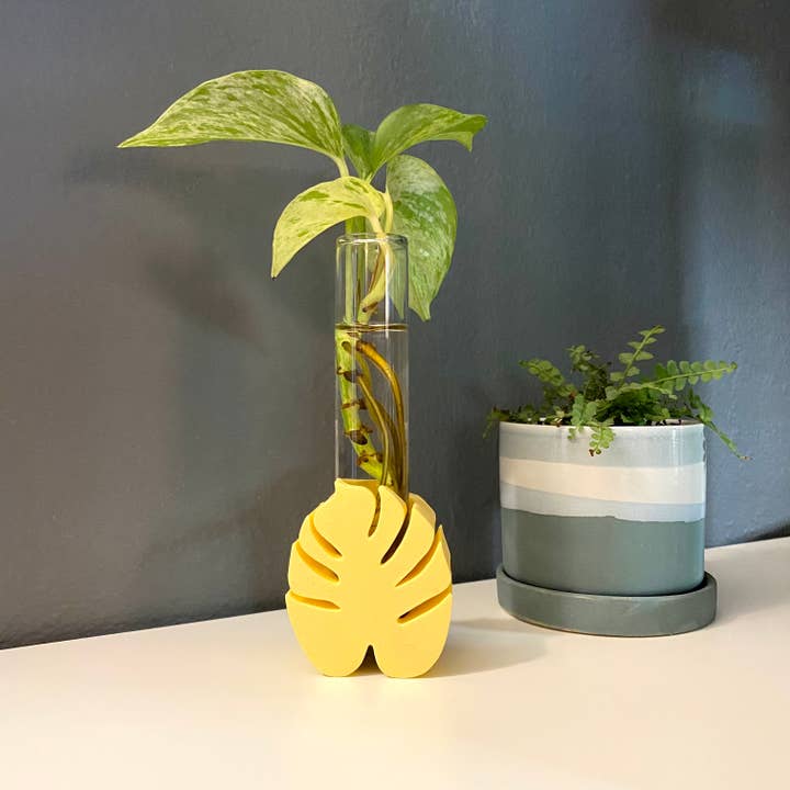 Plant Voyage - Wholesale Plant Pot - Monstera Propagation Station, 3D Printed Propagation Stand