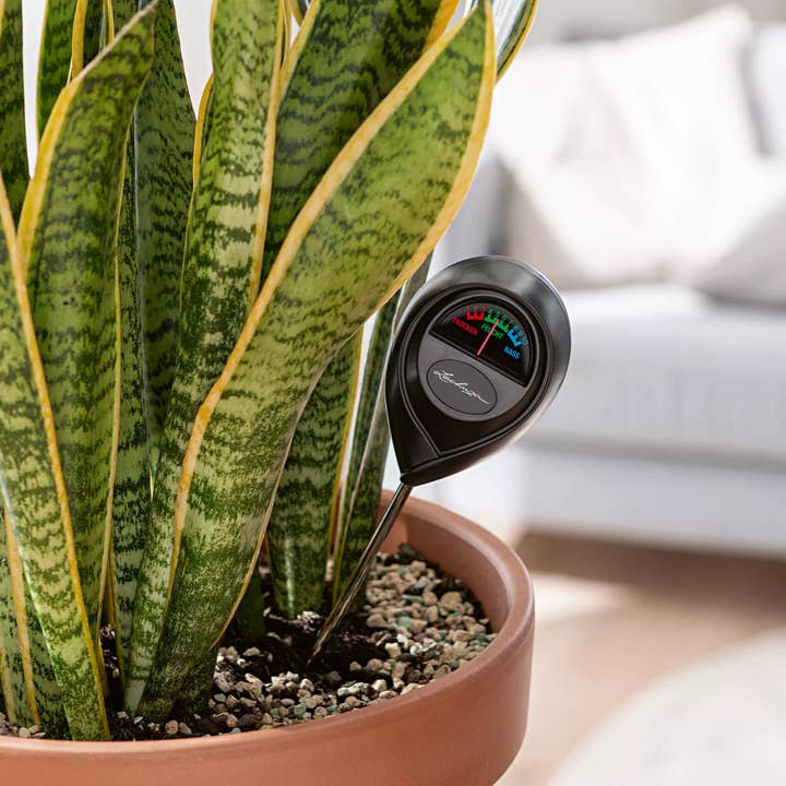 Black LECHUZA Soil Moisture Meter For Plants for wholesale on Faire1