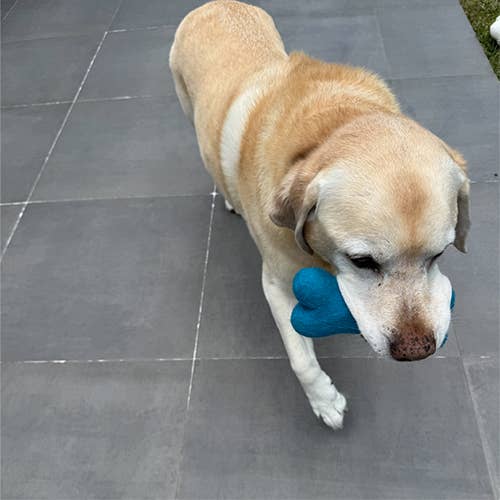 Ethical Global - Wholesale Pet Chew Toy - Dog - Eco Wool Dog Bones/Toys: Fun Colors (Fair Trade)10