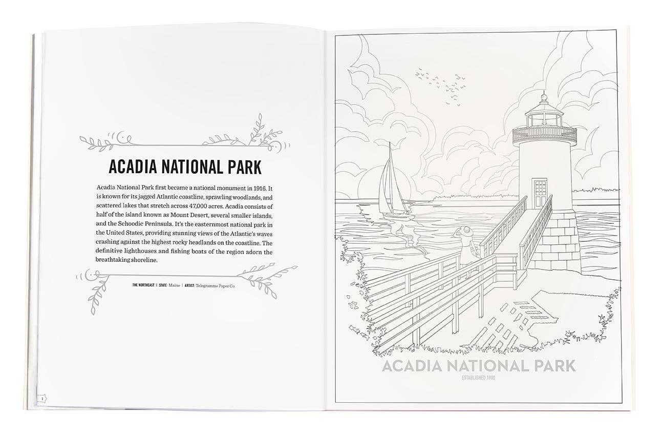Insight Editions - #1 Pop Culture Publisher - Wholesale Coloring & Activity Book - Adult - The Art of the National Parks Coloring Book1
