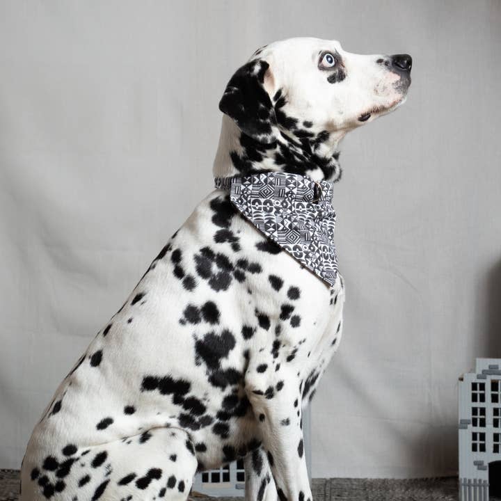 Hiro + Wolf - Wholesale Pet Bandana - Dog - Bow Wow Haus Dog Bandana