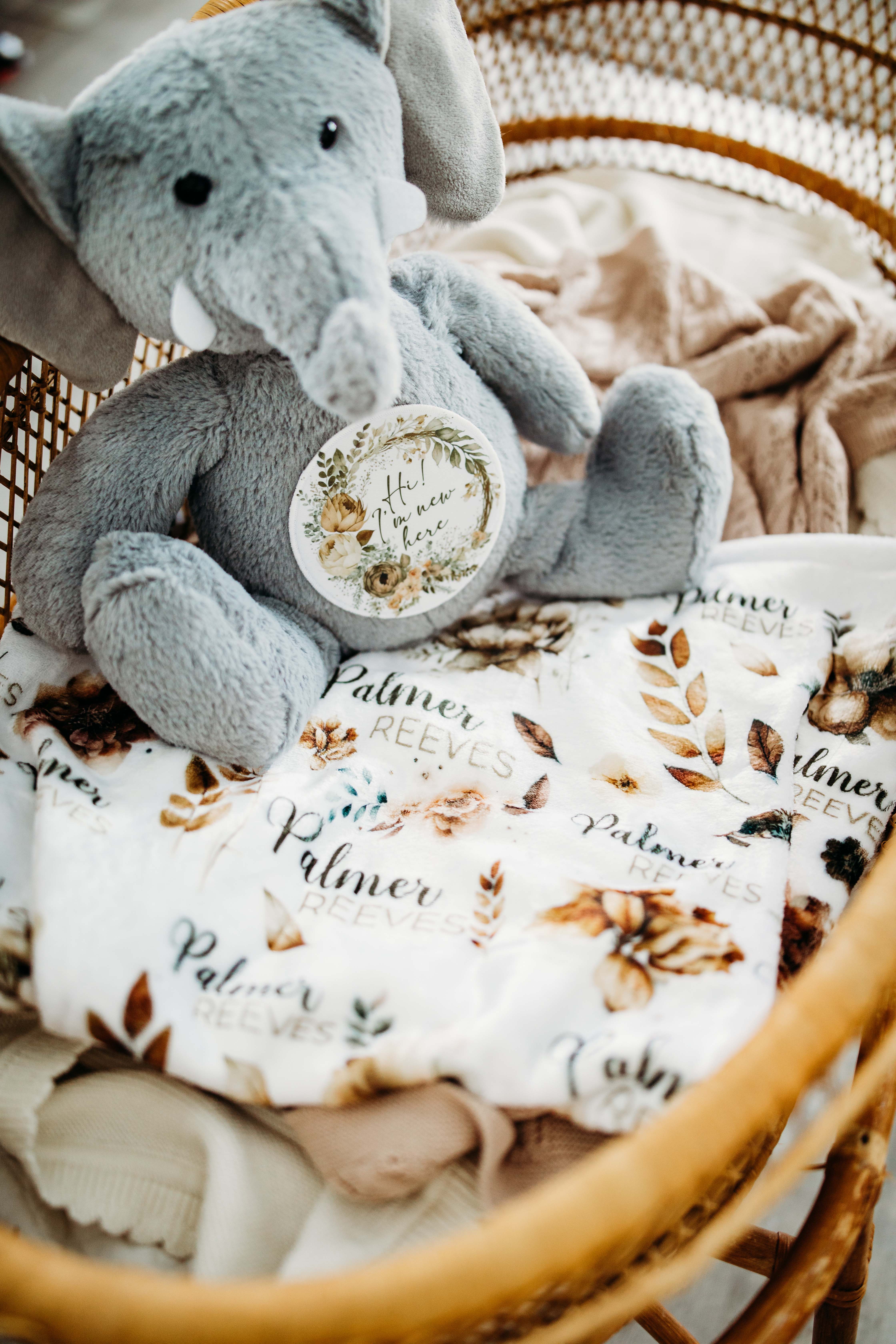 Grow With Me Baby Co - Wholesale Stuffed/Plush Toy - Kids & Baby - Baby Monthly Milestones, Elephant Stuffed Animal6