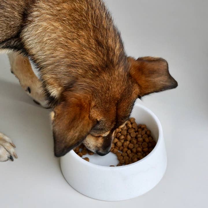STUDIO ANIMAUX - Wholesale Pet Bowl - Cat/Dog - Marble food bowl | crystal white | Ø23 cm