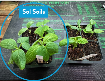 Sol Soils - Wholesale Planting/Potting Soil - Soil (1Gal) Seedling & Propagation Mix4