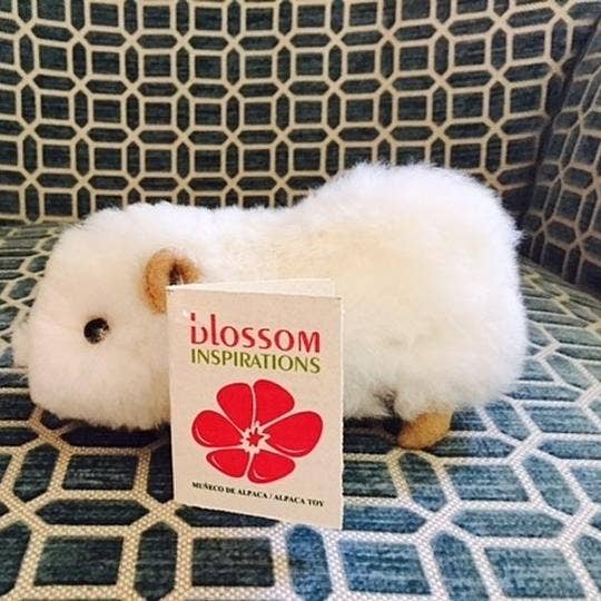 Blossom Inspirations – Engroshandel Plyslegetøj - Børn og baby – Cuyita Marsvin Alpaca Fur Toy6
