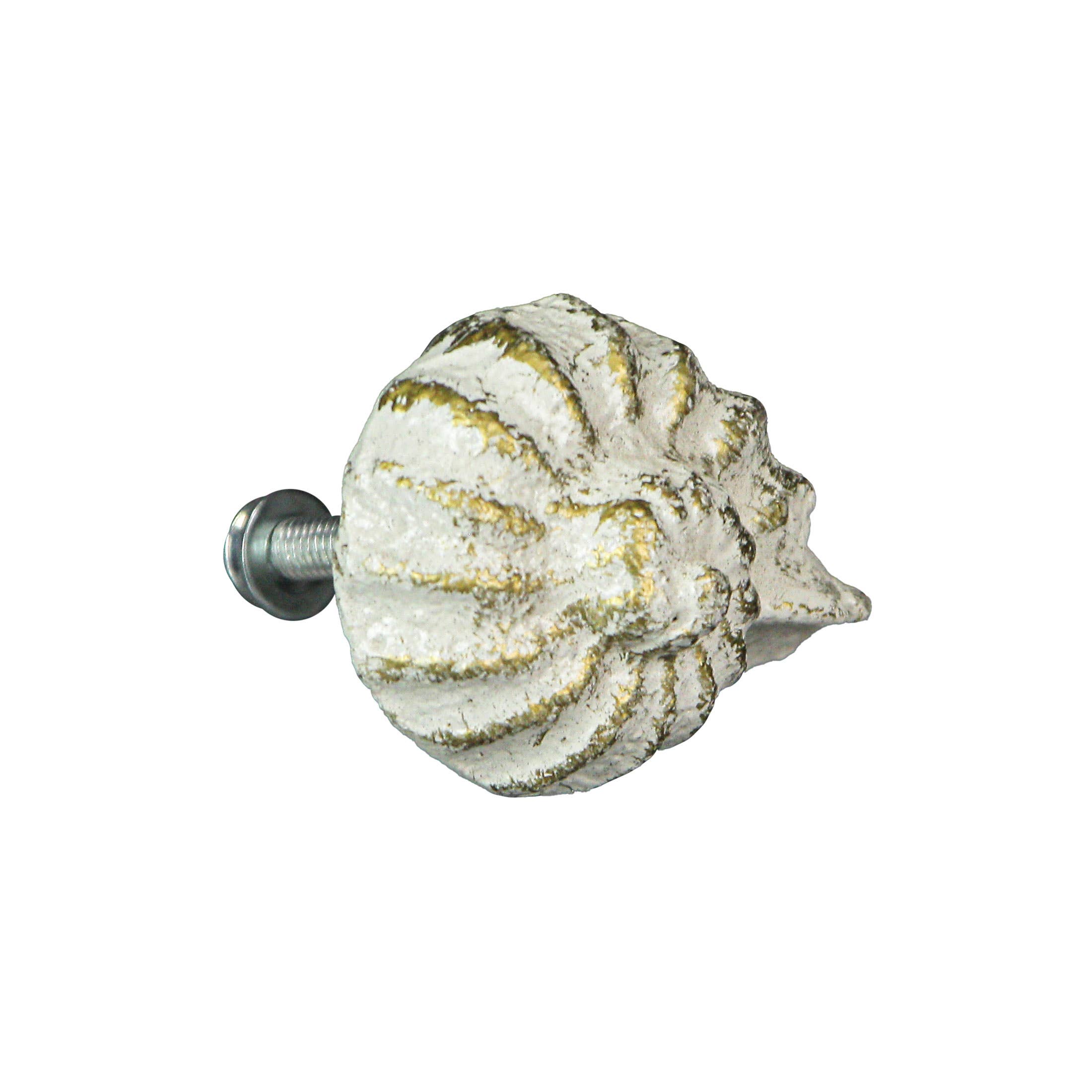 Zeckos - Wholesale Knob/pull - Rustic White Cast Iron Nautilus Shell Drawer Pulls Set of 63
