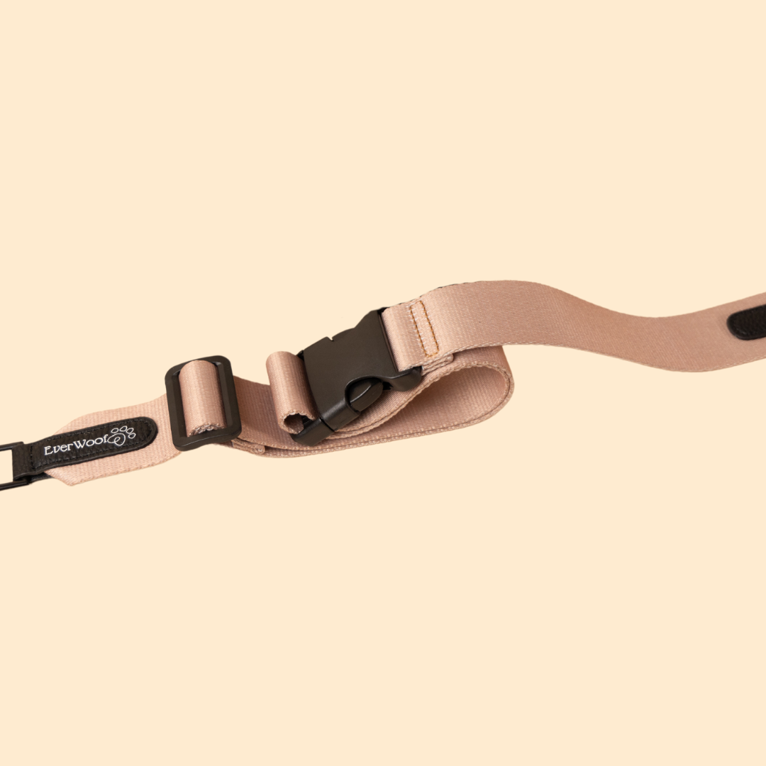 EverWoof - Wholesale Bag Strap - Women's - Walkie Bag Strap0